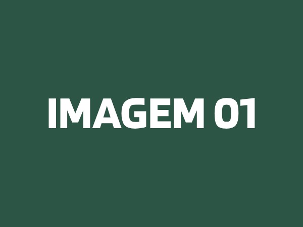 IMAGEM 01