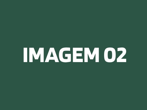 IMAGEM 02