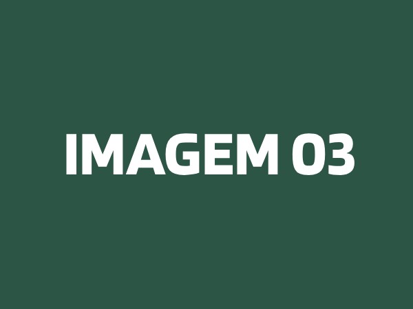 IMAGEM 03