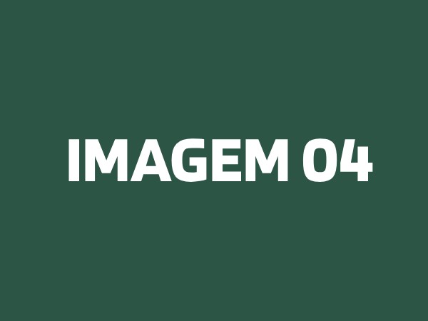 IMAGEM 04